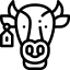 Registro Fierro